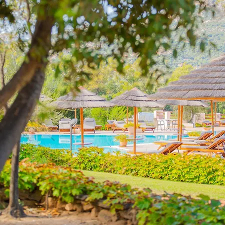 Felix Hotels - Hotel Airone-3